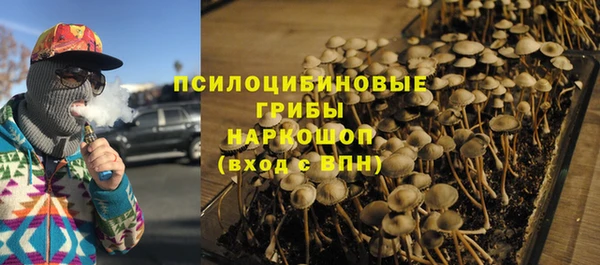 бошки Абаза