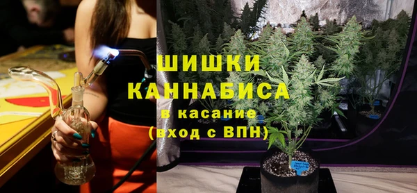 прущие грибы Сатка