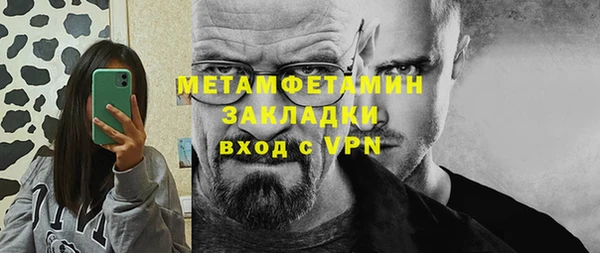 прущие грибы Сатка