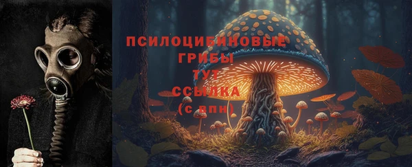 спиды Абинск