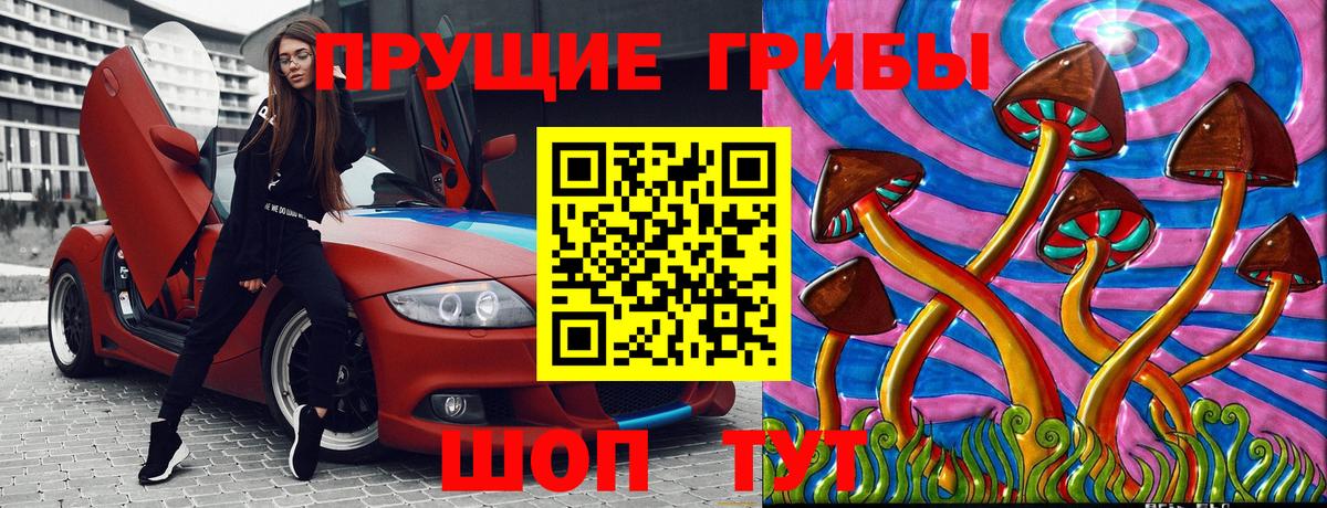 Псилоцибиновые грибы мицелий Зерноград