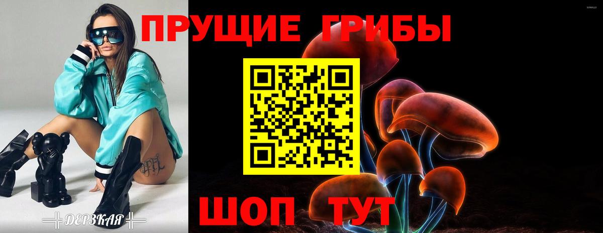 Галлюциногенные грибы Psilocybe  Вход с VPN  Зерноград 