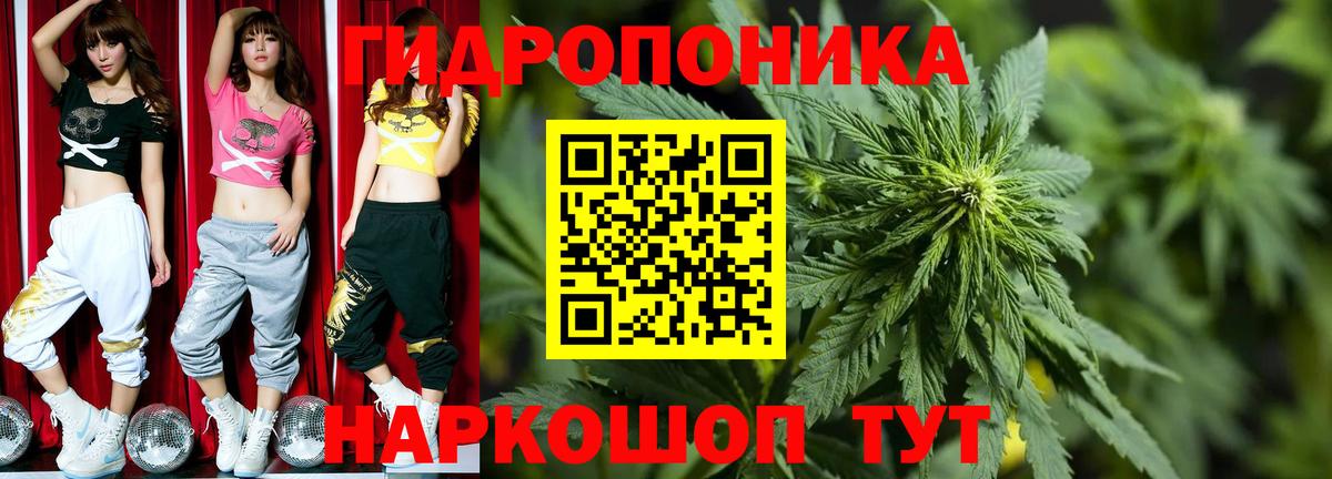 Шишки марихуана семена  Вход с VPN  Канабис Bruce Banner  Зерноград 